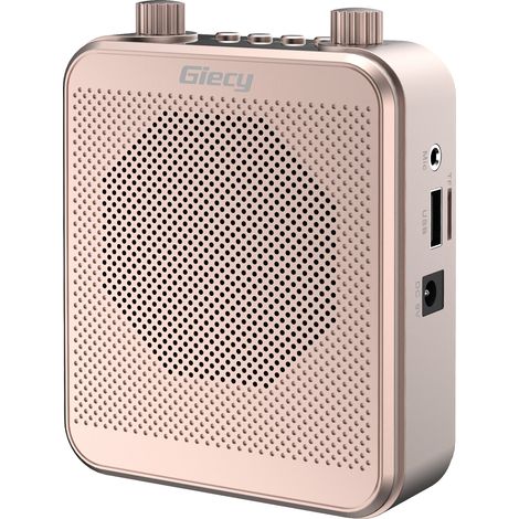 Amplificatore vocale portatile, microfono UHF wireless con batteria da 2800 mAh, lettore MP3/TF/USB, radio FM e registratore per insegnanti, tour, eventi - Oro rosa