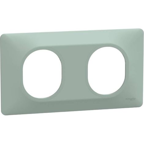 Plaque 2 postes horizontal Ovalis Schneider Finition: Sauge