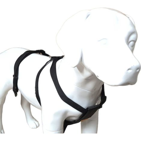 Harnais de sécurité taille S pour chien en voiture - animallparadise (1/5)