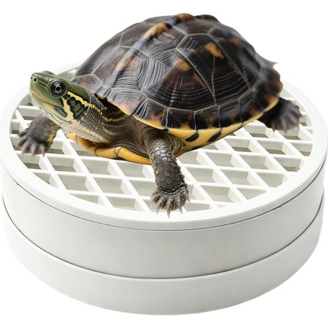 Collecteur de crottes pour Aquarium Tortue Grande Capacité Rond Collecteur (1/5)