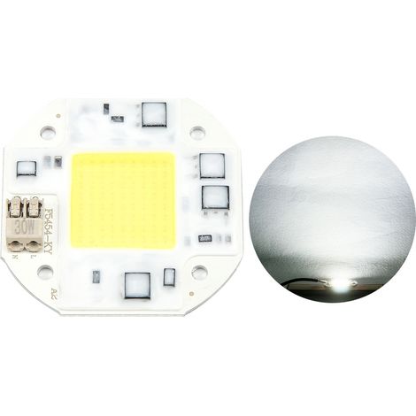 AC100-260V 30W Kaltweißer Hochleistungs-COB-LED-Strahler mit integriertem Chip (1/5)