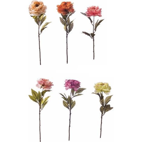 PEONIA 60CM IN 6 COLORI
