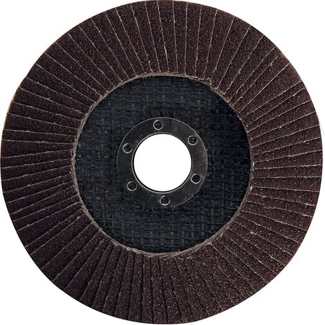 Korund Fächerscheibe 125 mm K60