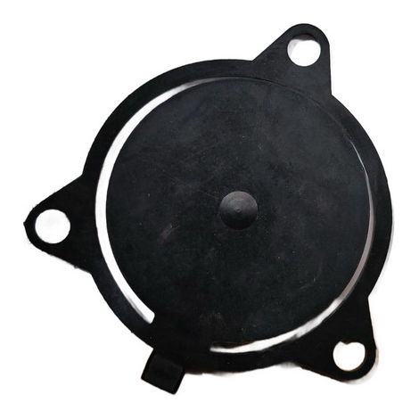 Valvula De Aspiración compatible con Qgz80  Ref 976817
