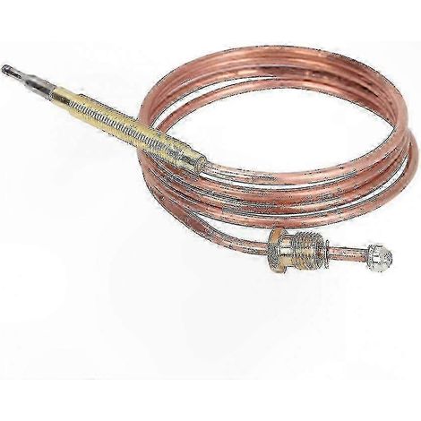 Thermostat de remplacement pour frigo camping-car RM Series - Sonde thermique compatible motorhomes S202412273503 (1/2)