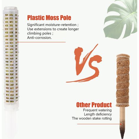 2 tiges empilables 28,5×4 cm pour plantes grimpantes – Support à mousse pour orchidées et lierres – Favorise la croissance verticale (1/4)