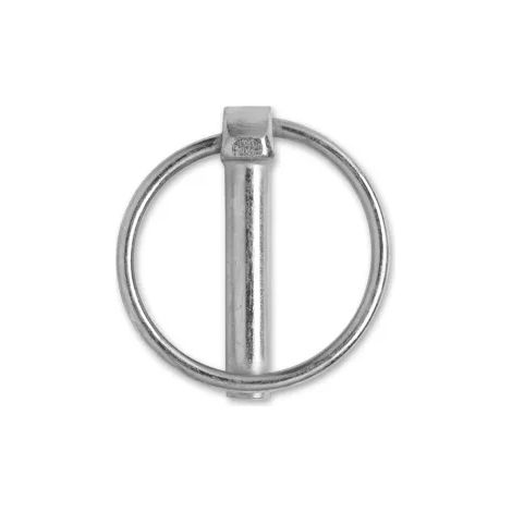 Retaining clips Chapuis goupil.clips fil acero zincado 40 piezas