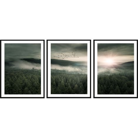 POSTER FOTOGRAFICO IN CORNICE 33x43cm Trittico Set di 3 dipinti Paesaggio forestale P2036 (1/3)
