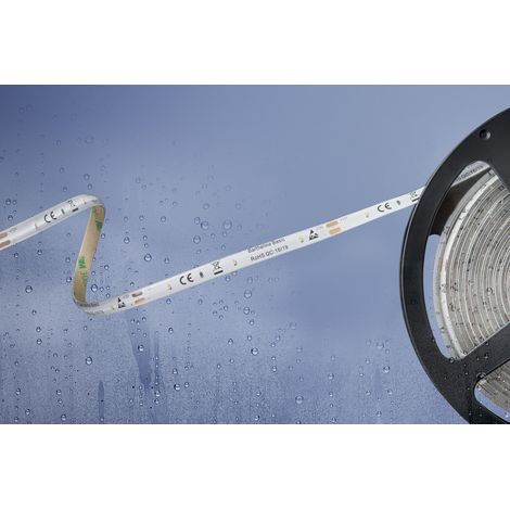 Barthelme 51540428 51540428 LED-Streifen mit offenem Kabelende 12 V 5 m Warmweiß 1 St.