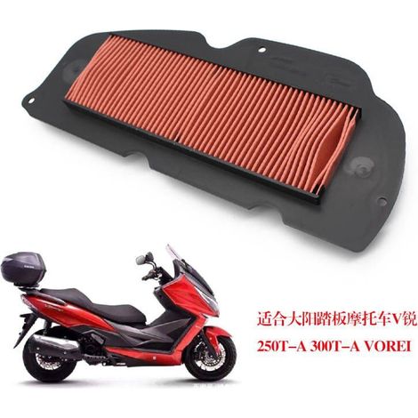 Luftfilter kompatibel mit Dayang V-Rui 250T-A und 300T-A (VOREI) Rollern. (1/5)
