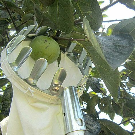 Fruit picking device, fruit picker, garden picker made of metal with collection bag for harvesting apples, citrus fruits, pears, peaches, garden tools (1/5)