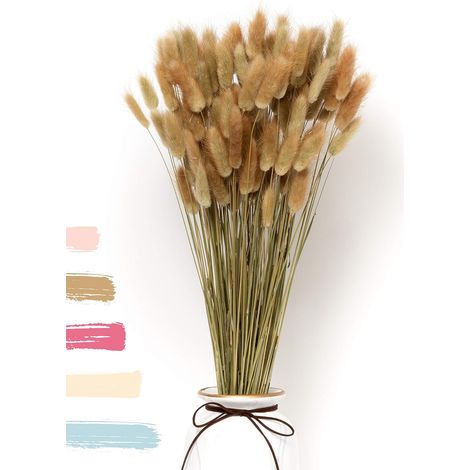 Le luxe, aussi captivant que les fleurs séchées : une décoration florale qui dure éternellement. Herbes de la pampa et fleurs séchées, bouquet d'herbes de la pampa séchées, décoration de vase. (1/5)