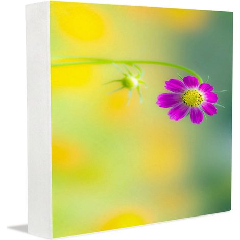Cadre photo en bois en cadeau de condoléances, mais l'avez-vous documenté pour les étudiants Panneau en bois personnalisé pour bureau, décoration de mariage, anniversaire et Pâques (1/5)