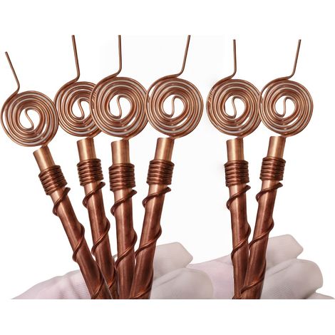Lot de 6 tuteurs pour plantes électrocultures, outils de jardinage à bobine d'antenne en cuivre pour plantes et légumes (1/5)