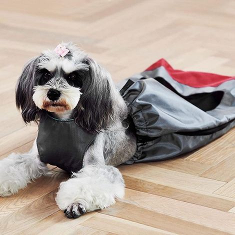 Pet Productogy Ing Aide Pyzed Pet Iry Belt Woelch Iry Project – Handicap Pyzed Pet Dog Bag Anti Wheelch Iry Project (XXL) (1/4)