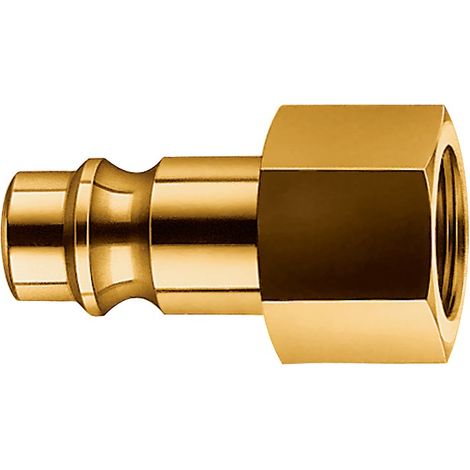 Mamelon laiton fiche DN 72 filetage intérieur G 1/2 EWO (Par 10) (1/2)