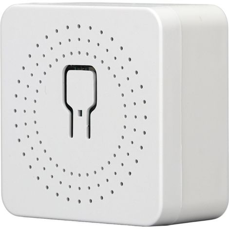 Interrupteur WiFi Portable 16A Prise Intelligente Commande par App et Voix Télécommande Double Contrôle pour Tuya AC100-240V (1/5)