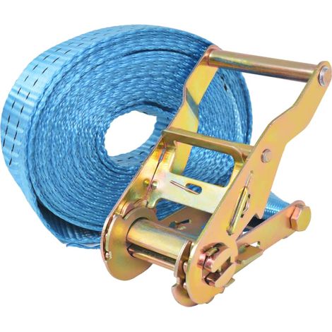 vidaXL Cinghie d'Ancoraggio 10 pz a Cricchetto 2 T 6mx38mm Blu
