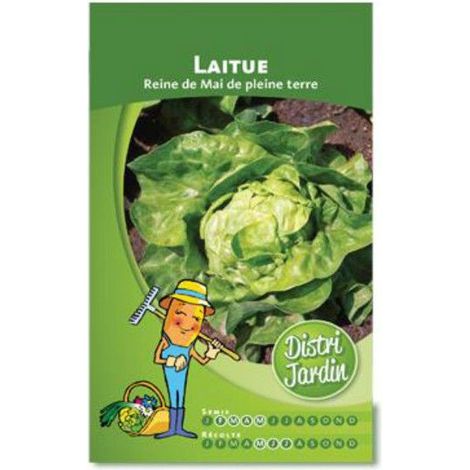 Sachet de graines de laitue reine de mai