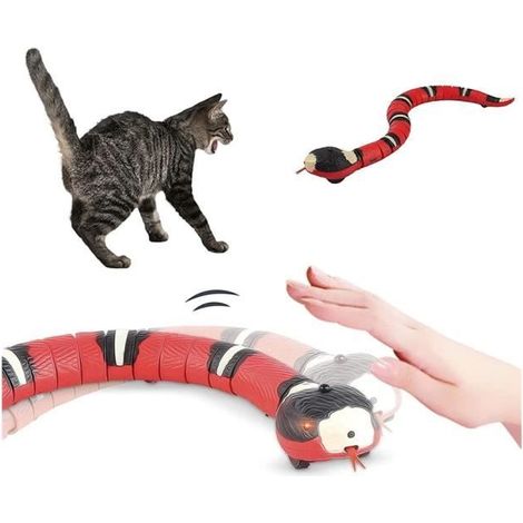 Jouet Pour Chats Électrique, Serpent, Jouets Pour Chats À Suspendre, Jouet Interactif Pour Chats D'intérieur, Jouets De Innovants (1/4)
