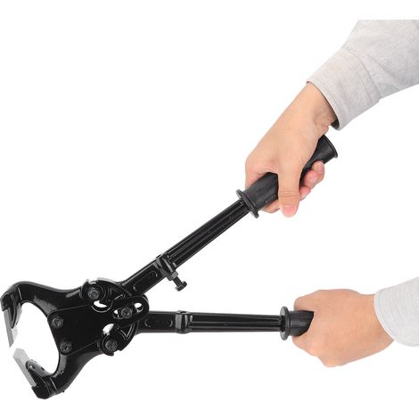 Pince coupe-sabot de vache multifonctionnelle en acier inoxydable, outils de ferrage, équipement d'élevage (1/5)