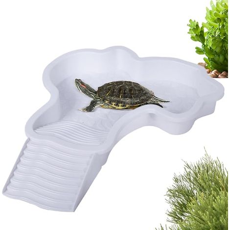 Piscine Tortue Terrestre Mangeoire, Plat d'eau Bassin pour Tortue de Piscine avec Rampe, Bol d'eau pour Reptiles avec Échelle, Bassin de Douche pour Terrasse (C) (1/5)