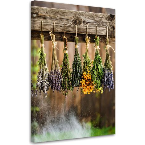 Wandbild Kräuter Gewürze Pflanzen 40x60 cm (1/5)