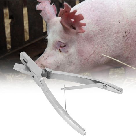 1 pince coupante en acier inoxydable pour animaux de ferme, outil d'identification des étiquettes d'oreilles de porc (forme en V) (1/5)