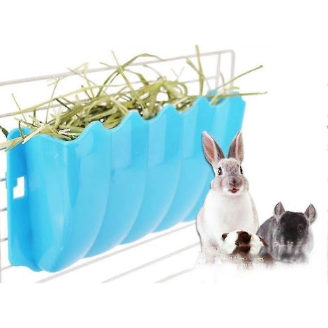 Petits animaux d'extérieur, gazon fixe, panier à gazon pour petits animaux de compagnie, bassin à gazon bleu (1/2)