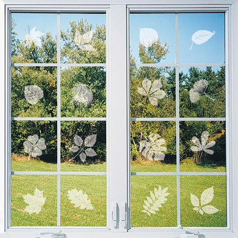 Decal Fenêtre Anti-Collision - Formes Feuilles - Adhésif Électrostatique Transparent - Pour Vitres Intérieures Extérieures - Lot de 26 (1/5)