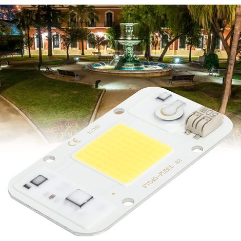 Source lumineuse sans alimentation 220 V, puce LED 50 W intégrée, pour l'éclairage de croissance des plantes (lumière blanche). (1/5)