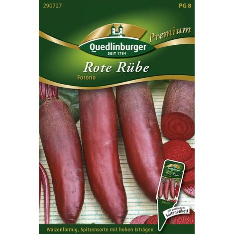 Quedlinburger Saatgut – Betterave rouge Forono – Graines de légumes Premium, racines cylindriques de 15 cm (1/2)