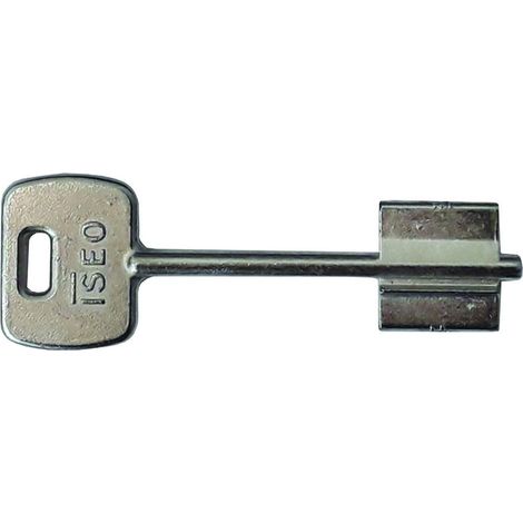 Chiave Grezza Doppia Mappa 990800 - 5 pz