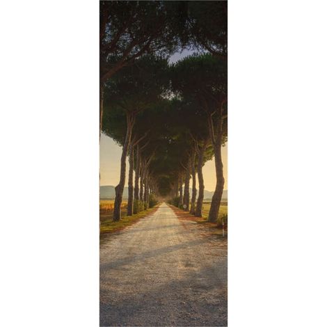 Panneau mural douche en alu-composite VIPANEL - Inspiration Nature Décor Chemin des Pins - Finition Brillant - 100x255cm (1/5)