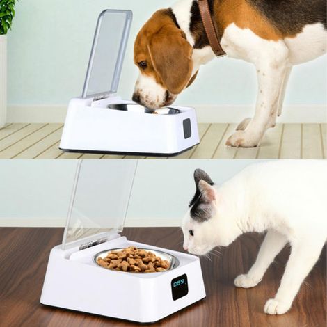 Gamelle automatique intelligente pour animaux avec couvercle, distributeur de nourriture interactif et programmable pour chat et chien, mangeoire électronique hygiénique en acier inoxydable