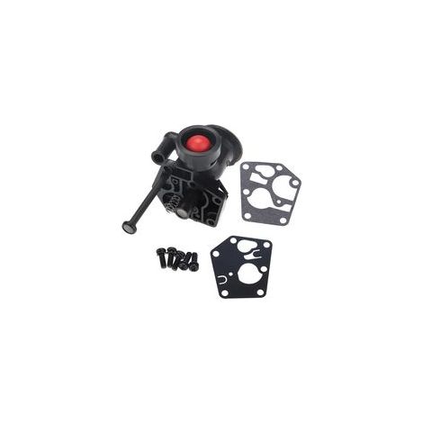 Vergaser mit Montagematerial für 499809 498809A 494406