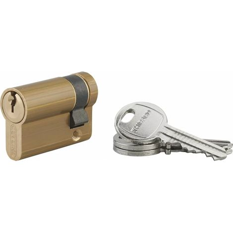 Demi-cylindre profil européen HG5 THIRARD 35x10 mm + 3 clés - 053510 (1/2)