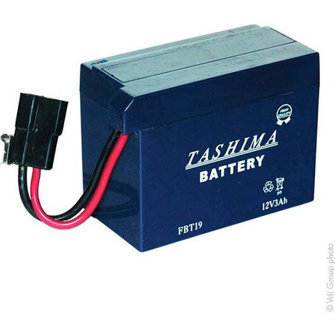 Batería de jardinería Tashima 12V, 3A, adaptable para Tecumseh. L: 110, L: 55, H: 80 mm, con conexión especial (entregada sin ácido)