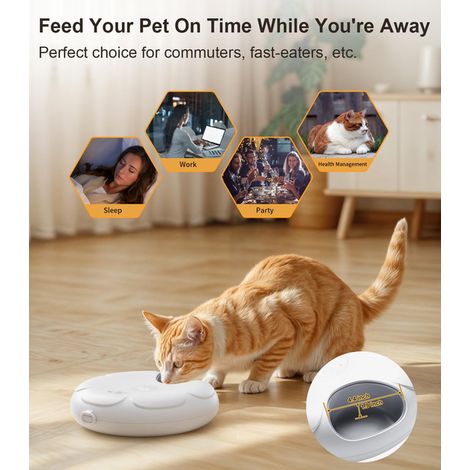 Distributeur automatique de nourriture pour animaux avec compartiments réfrigérés pour croquettes et pâtée, programmable avec minuteur pour chat et chien