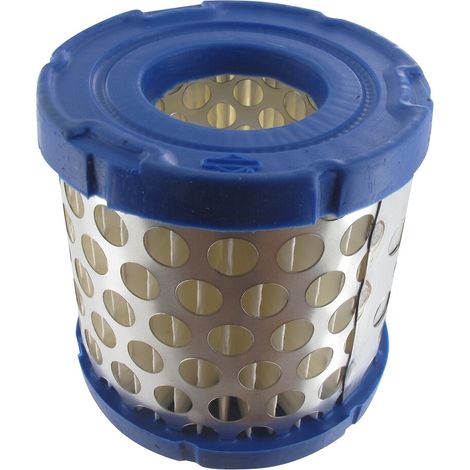 Filtro Air BRIGGS et STRATTON 392308