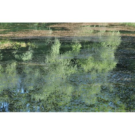 Papier peint panoramique paysage lac Tapisserie panoramique verte aspect peinture Papier peint panoramique pour salon (1/2)