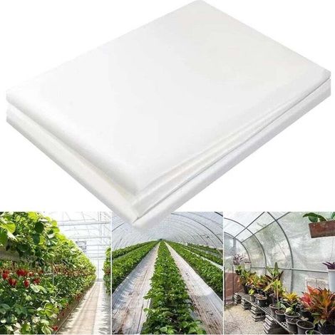 Bâche serre 2x6m, film polyéthylène qualité, pour couvrir jardin, légumes et tomates (1/4)