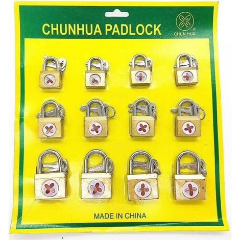 Set 12 lucchetti ad arco 15mm 20mm 25mm con 2 chiavi per armadietto valigia