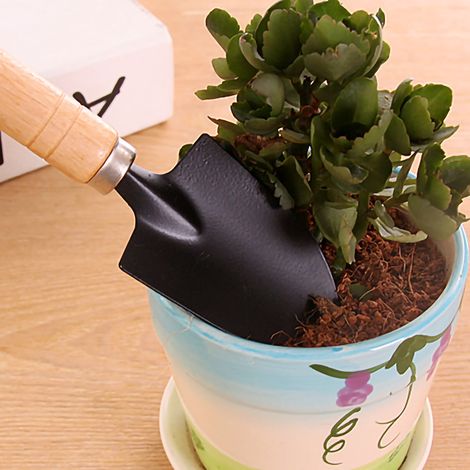 Gartenschaufel-Set Mini-Kit für den Haushalt, zum Anpflanzen von Topfpflanzen, Blumen und Sukkulenten, Unkrautjäten (1/4)