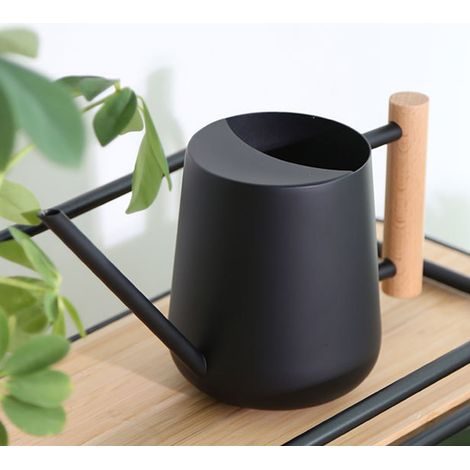 Araisonoir Indoor 1LS-10.4 - Design-Gießkanne aus Edelstahl und Naturholz (16,4 cm Auslauf, schwarz, 465 g) (1/5)