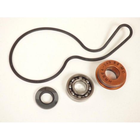 wasserpumpe hot rods für quad polaris 600 sportsman 2004-2005