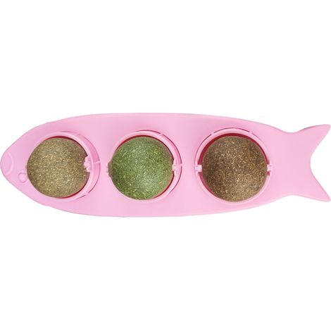 1 unité à l'herbe à chat, naturelle et comestible, pour hygiène bucco-dentaire, avec couvercle transparent et 3 saveurs (1/5)