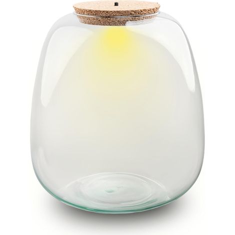 Terrarium en Verre Recyclé avec Éclairage LED Bouchon en Liège Ø 23 cm 8 L - PANGIVO (1/3)