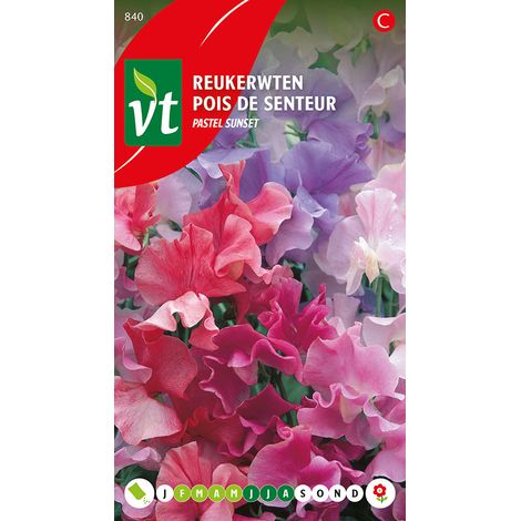 Pois De Senteur Pastel Mix - Ca. 4 gr (Livraison Gratuite)