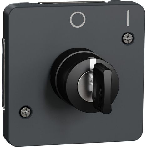 Schneider Electric – Interrupteur à clé 2 positions IP55 – Protection contre la poussière et l'eau – Couleur gris – Installation facile avec boîte
